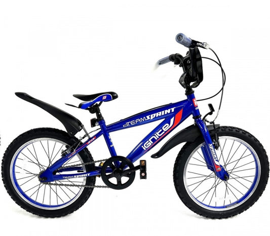 teamspirit-blue-18-boys-bike